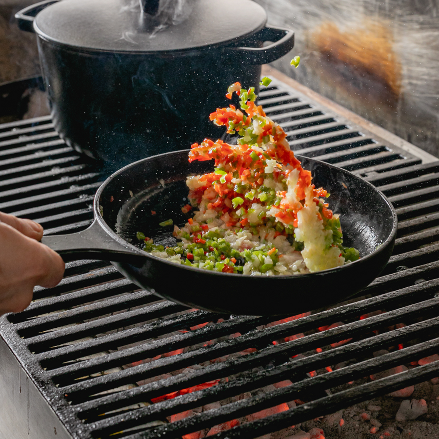 Lodge discount iron skillet